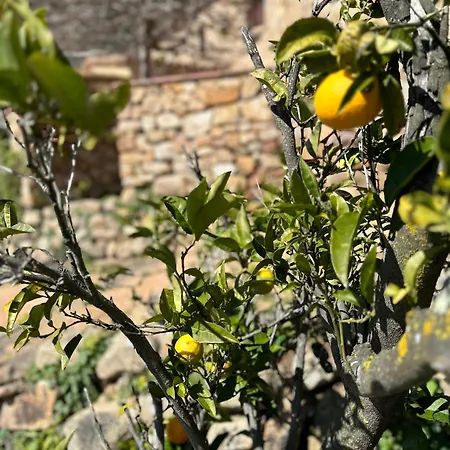 La Vista Brava منزل ريفي