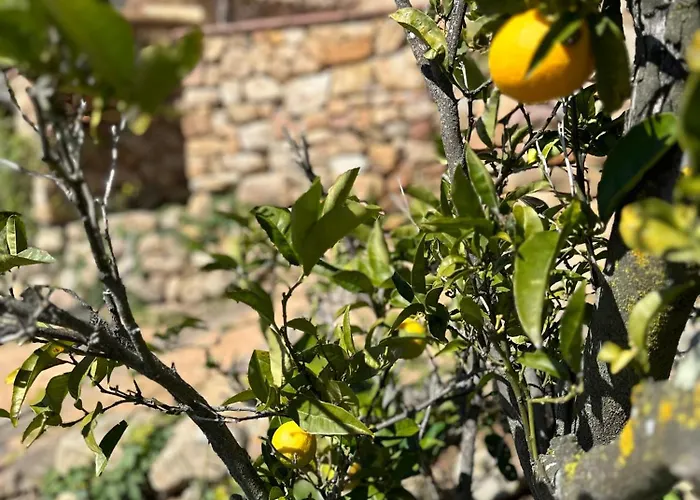 La Vista Brava 乡村民宿